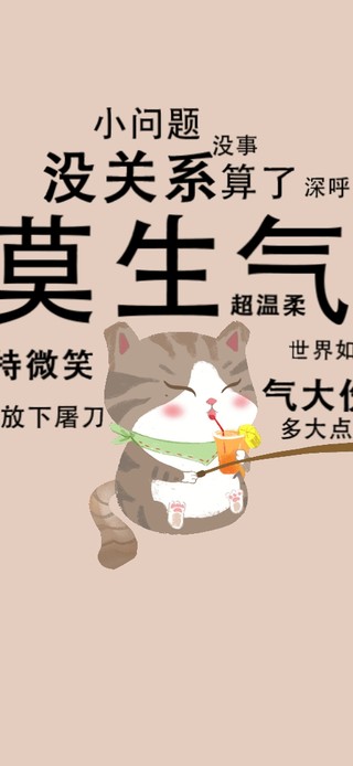 莫生气 佛系猫咪