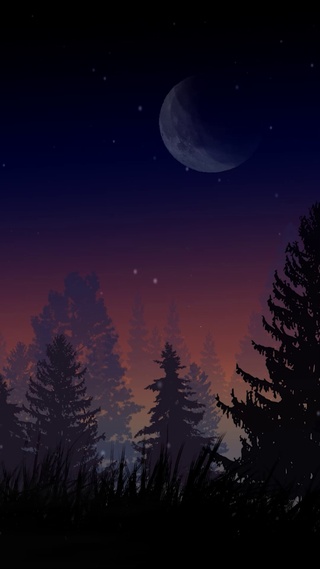 月夜