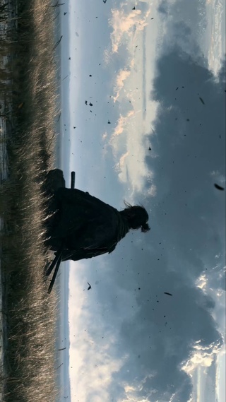 流浪武士