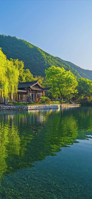 护眼绿景