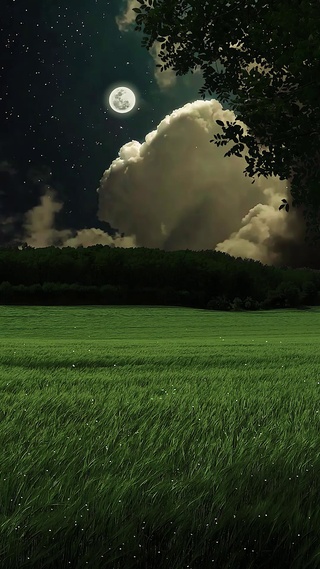 爆款唯美月亮荧火虫夜景