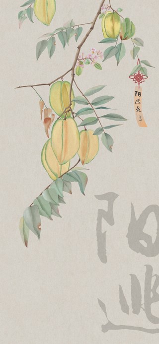 阳逃走了（杨桃）