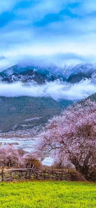 唯美桃花源