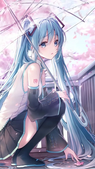 初音未来 樱之雨