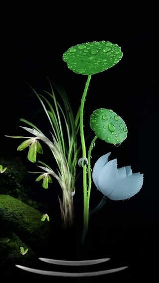 水滴解压