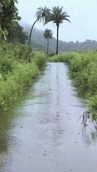 雨中漫步