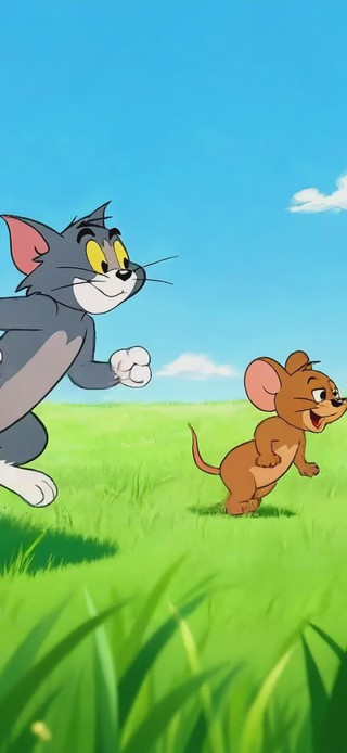 猫和老鼠追逐嬉闹