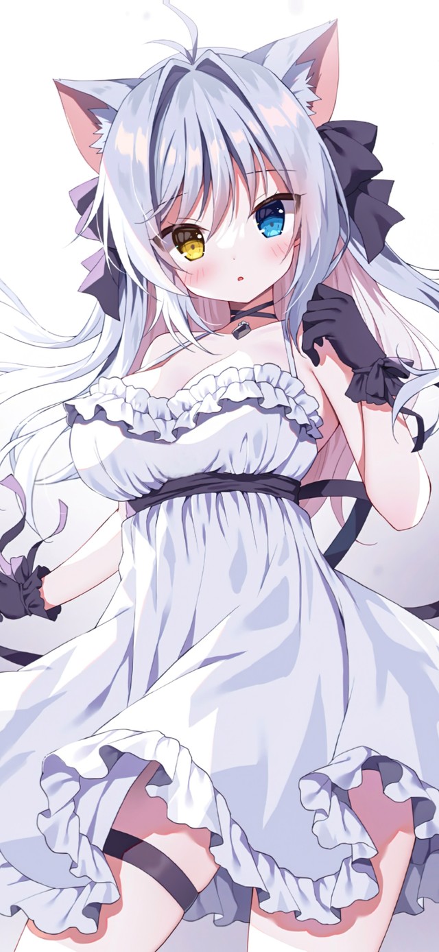 4K清纯可爱猫耳少女