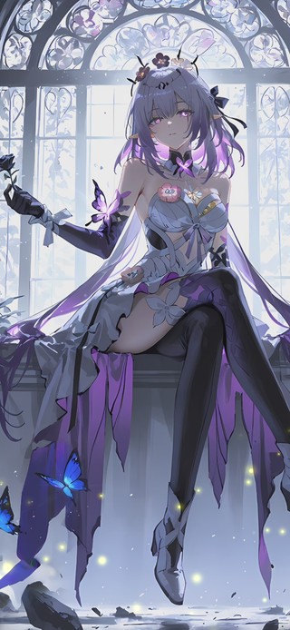 瑕蝶梦幻