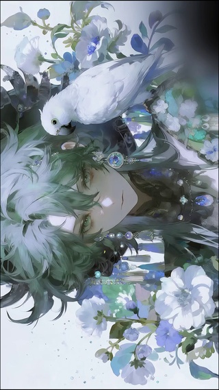 鹦鹉少年