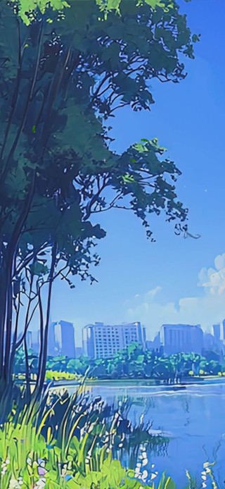 蓝天白云树木