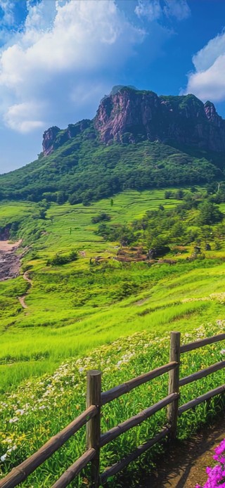 护眼绿景