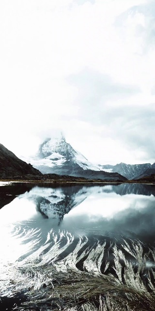 风景