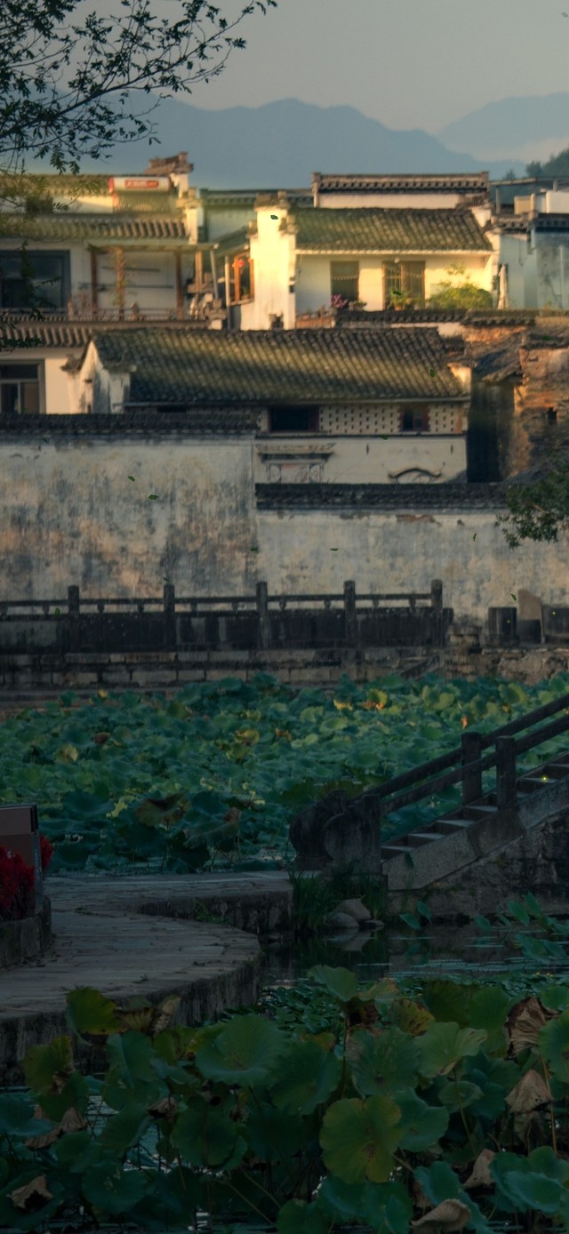 4K夕阳古镇风光