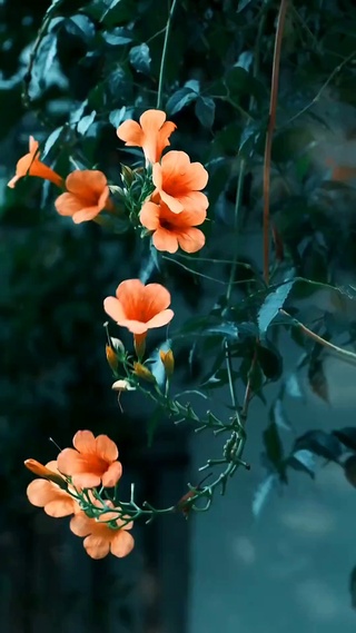 秋风知我意