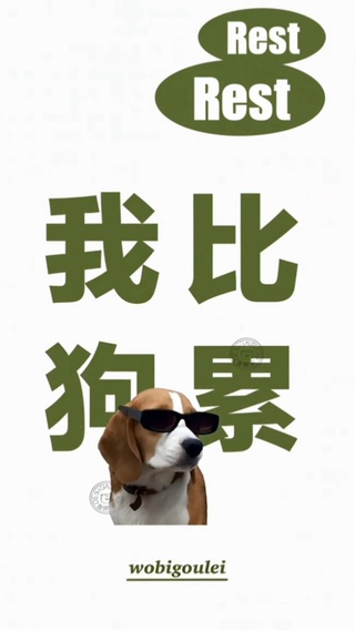 汪星人