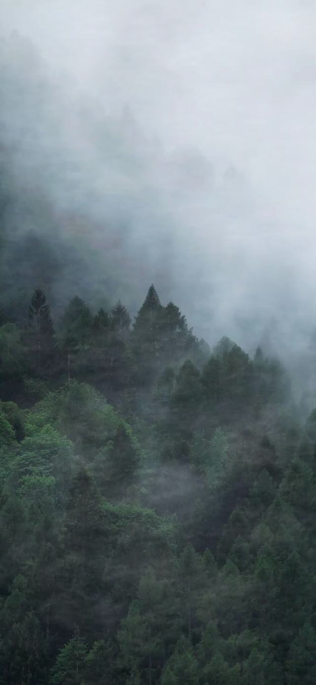 山间清晨雾气