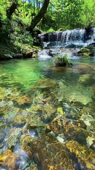 自然清澈水流