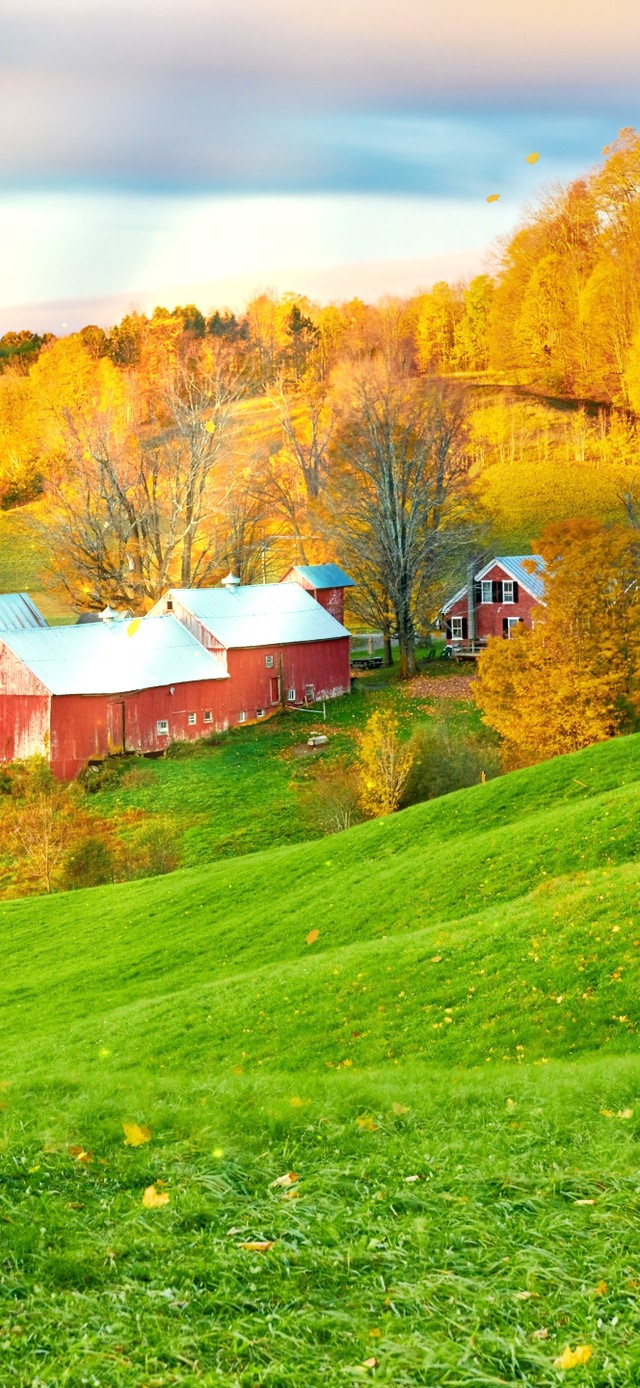 4K 唯美秋季农场