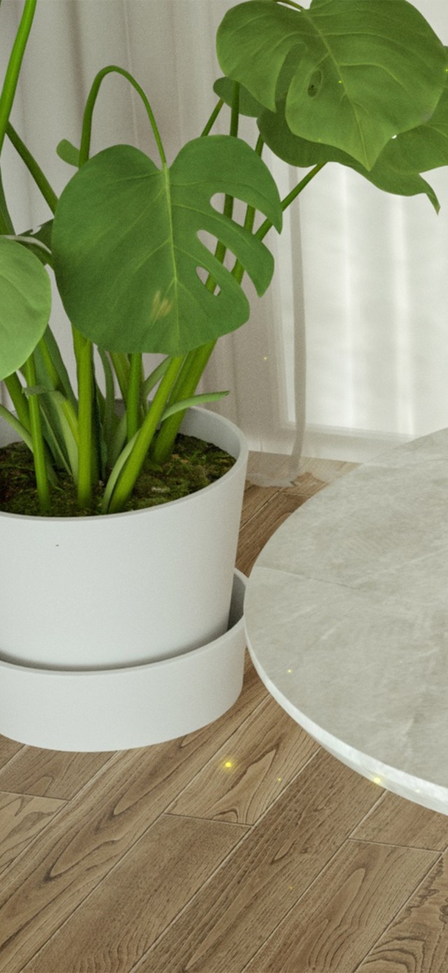 小清新护眼桌面