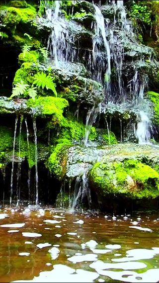 治愈山涧小溪 4K