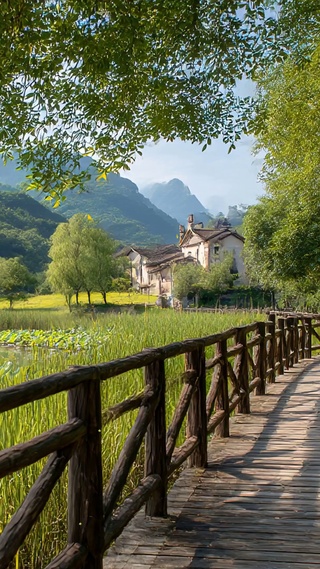 护眼绿景树木河流