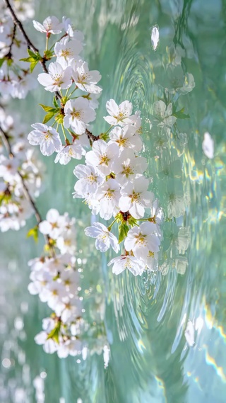水镜花影