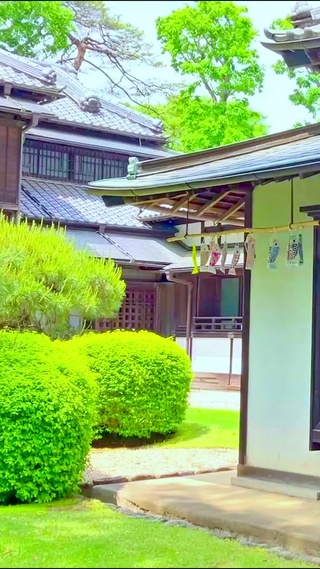 治愈小院4K
