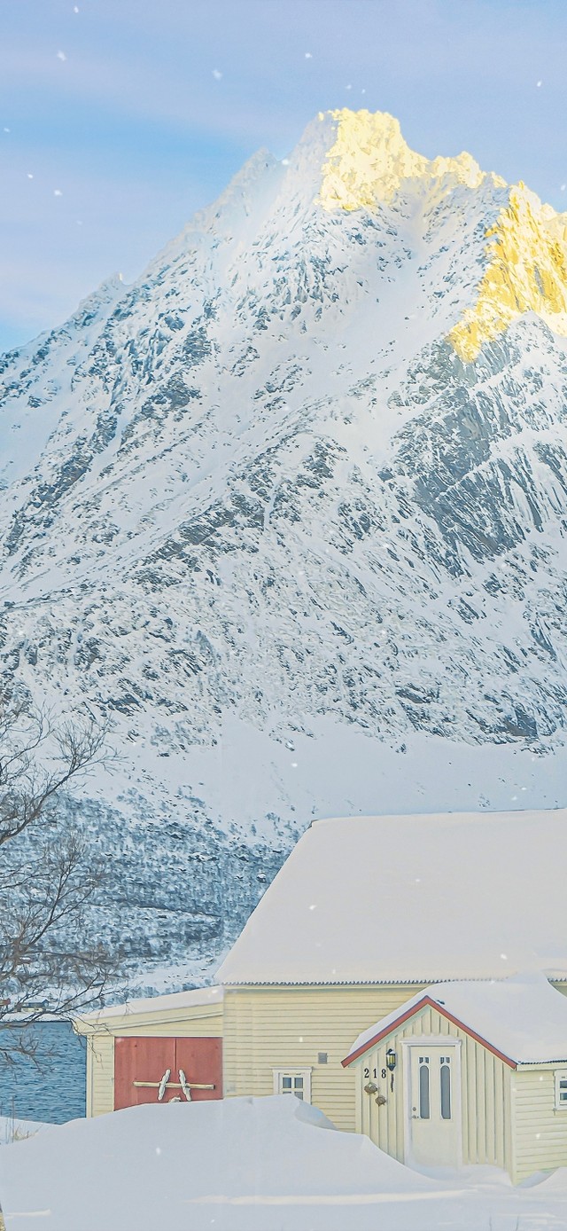 唯美治愈下雪天风景