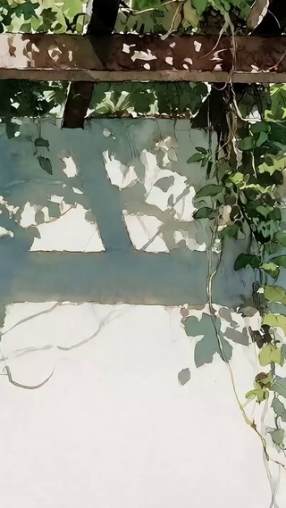 荫凉树木
