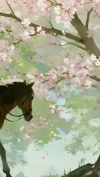 竹杖芒鞋轻胜马3.0