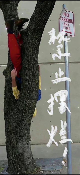 禁止摆烂励志视频动态背景