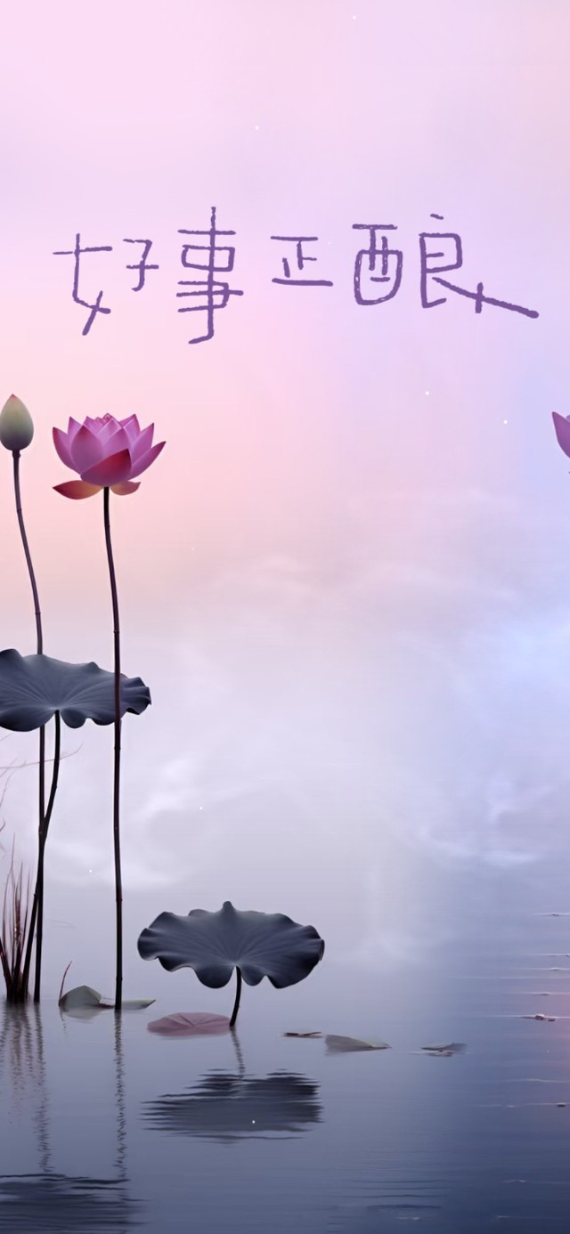 好事正酿 治愈莲花