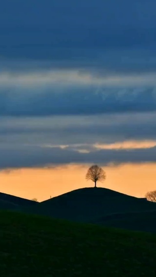 风景
