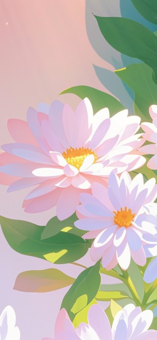 4K 绽放的花儿