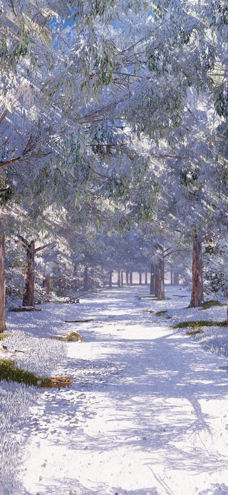 隔年雪4k(双端）