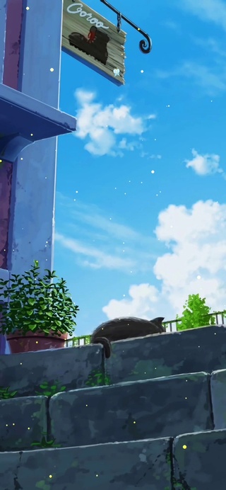 睡觉的猫咪