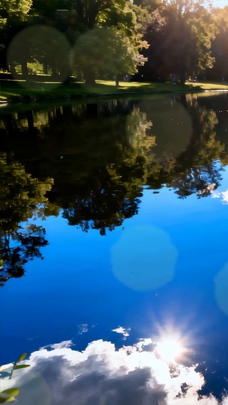 护眼绿景树木河流