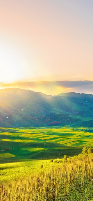 4k 美丽日落山坡小路