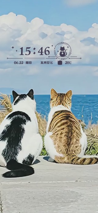 五个萌猫排排坐