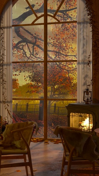 4K唯美秋叶雨天咖啡馆