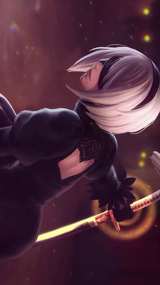 尼尔2b