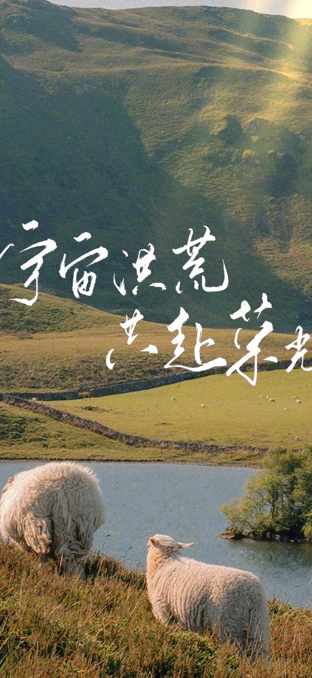 宇宙洪荒 共赴荣光