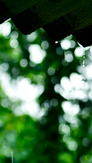 静心屋檐雨