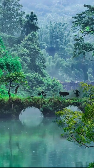 半山半水半朦胧