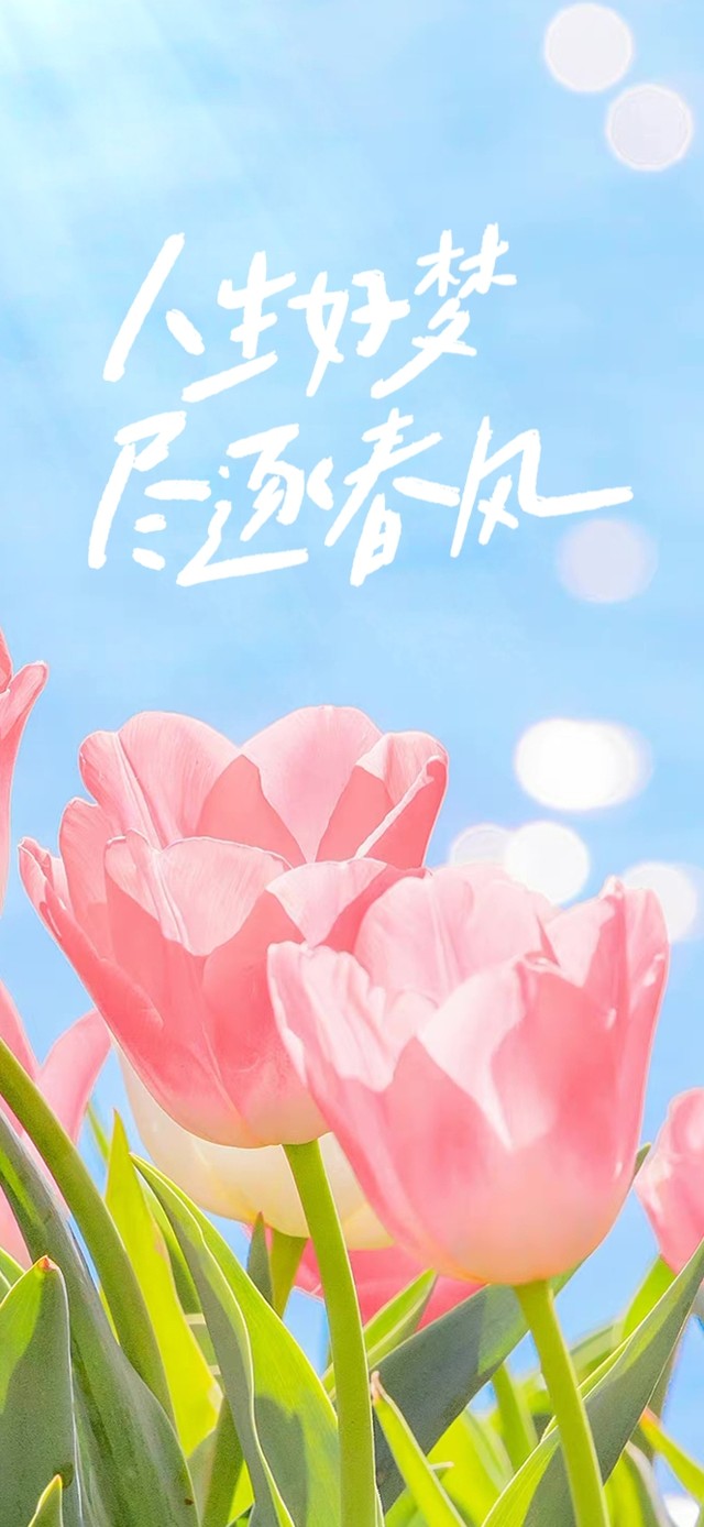 人生好梦，尽逐春风