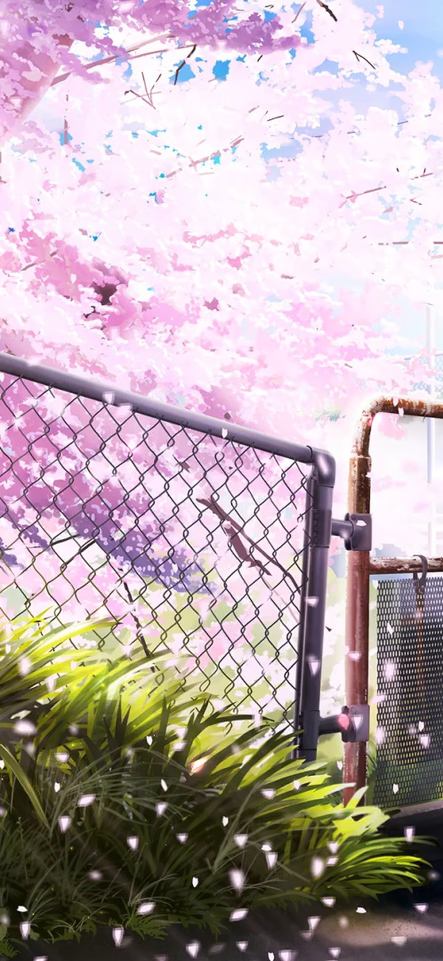 唯美治愈樱花街道