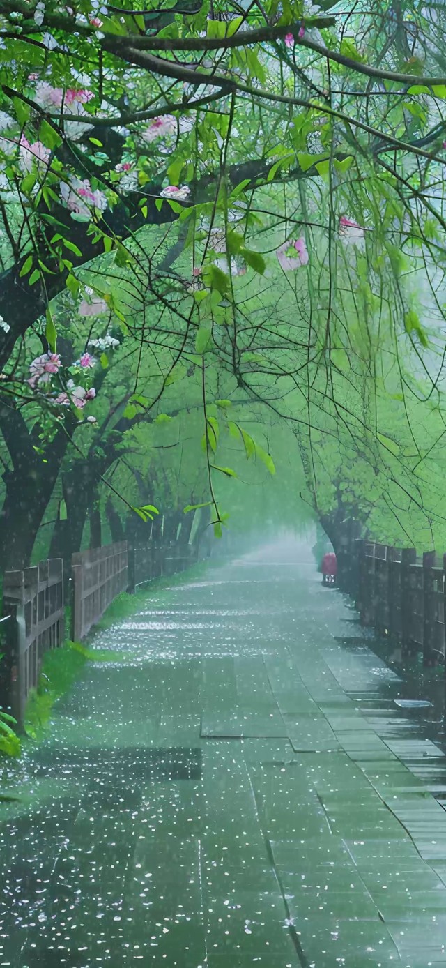 雨季
