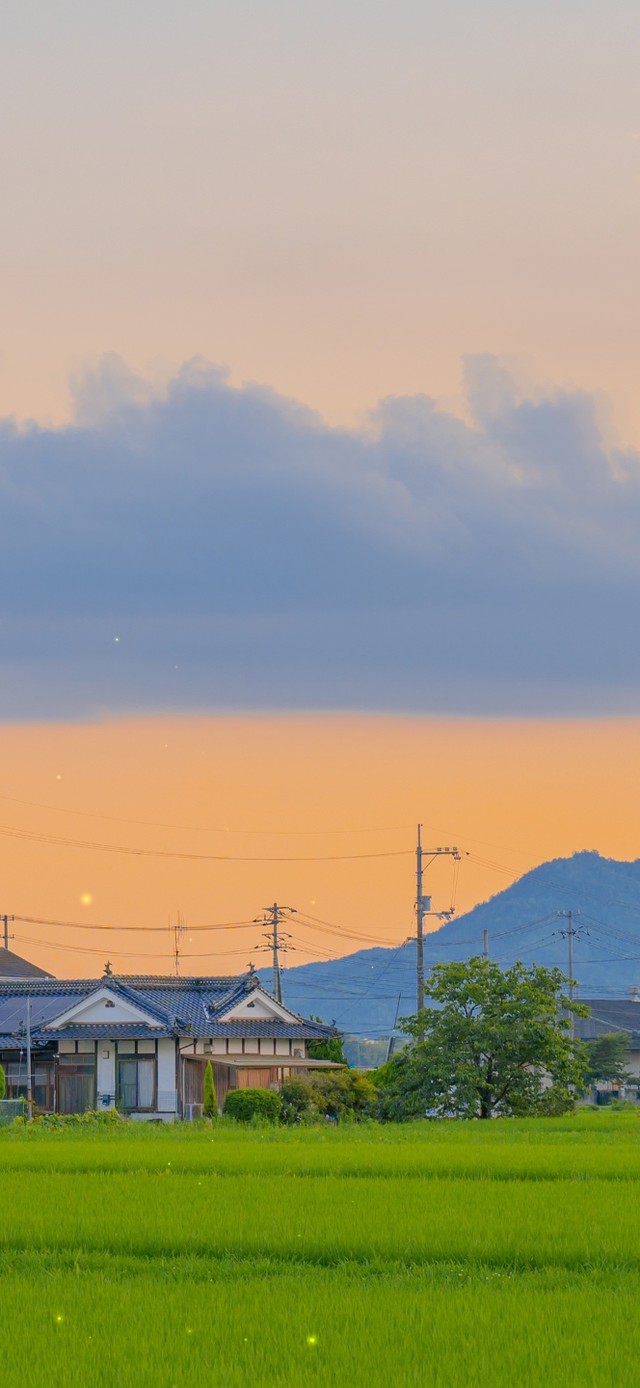 4K唯美乡村田园风景