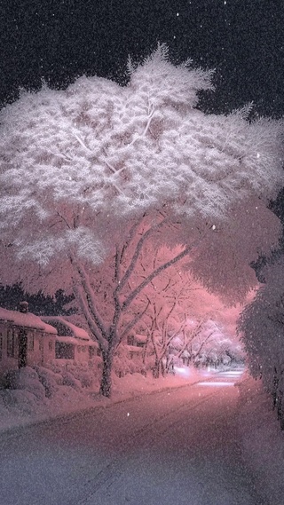 浪漫治愈粉色雪景